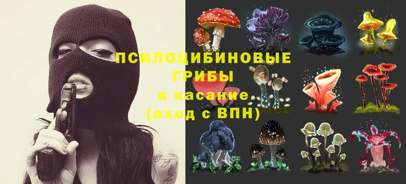 Псилоцибиновые грибы MAGIC MUSHROOMS  mega   Вихоревка 